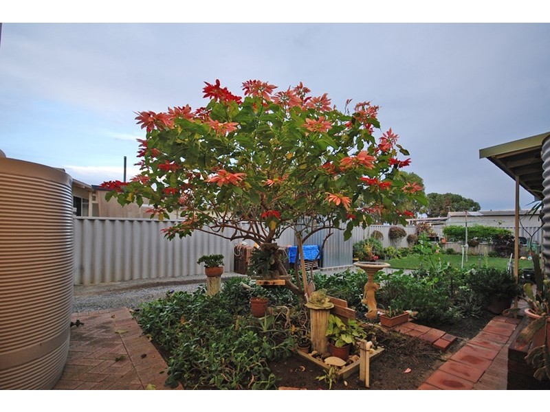 20 Drummond Circus, Cervantes WA 6511