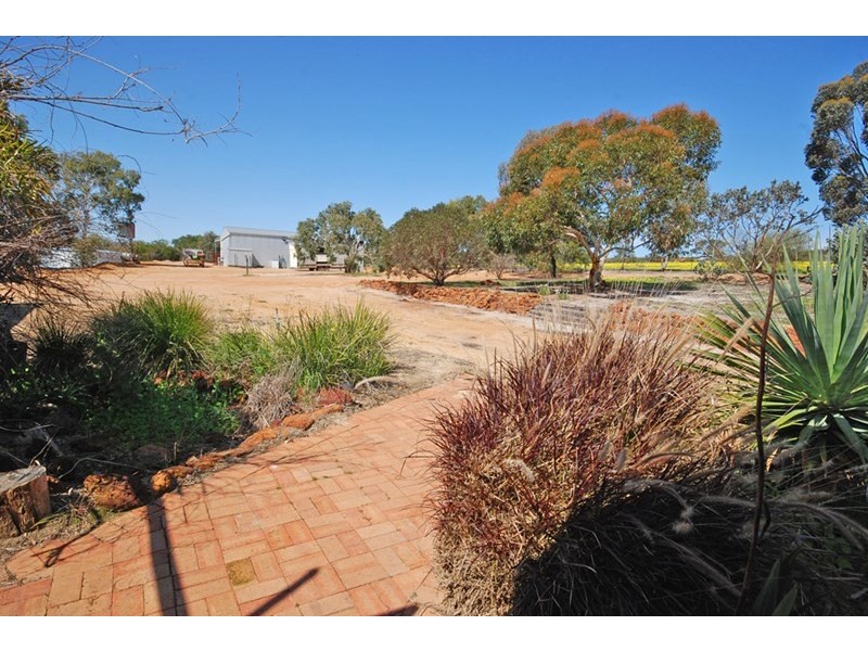 1339 Boothendarra Road, Badgingarra WA 6521