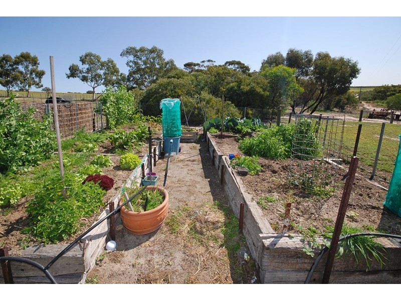 1339 Boothendarra Road, Badgingarra WA 6521