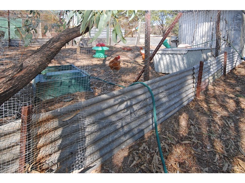 1339 Boothendarra Road, Badgingarra WA 6521