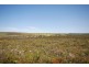 1339 Boothendarra Road, Badgingarra WA 6521