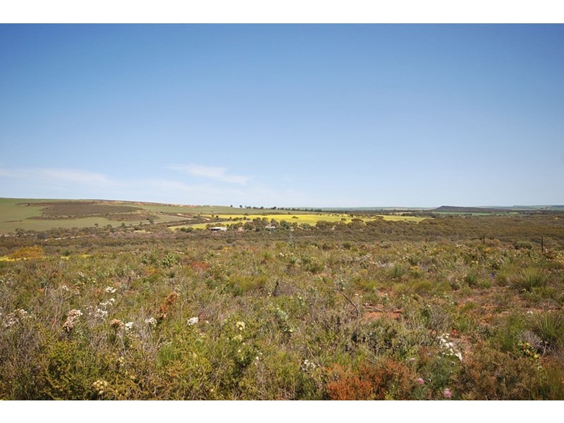 1339 Boothendarra Road, Badgingarra WA 6521