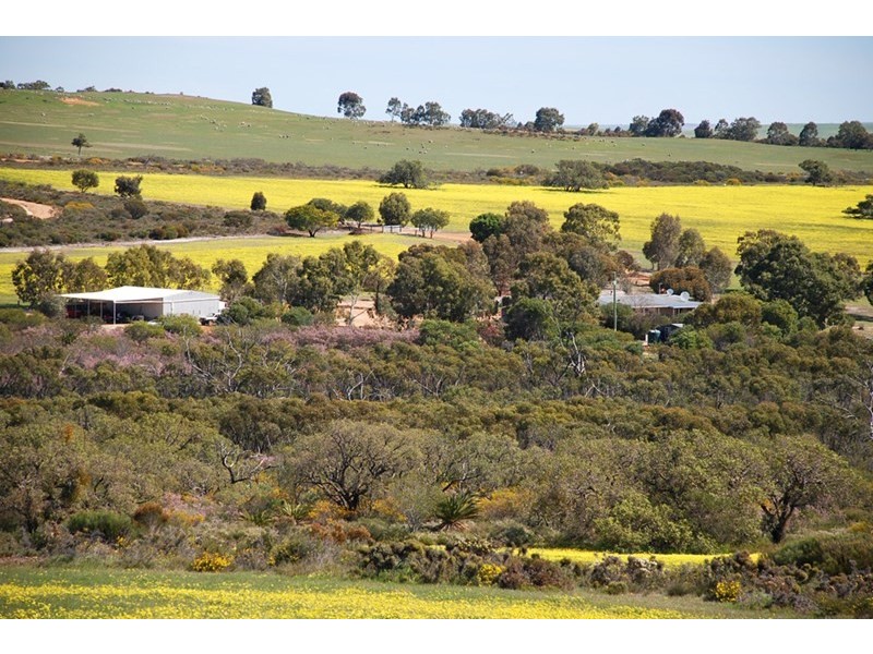 1339 Boothendarra Road, Badgingarra WA 6521