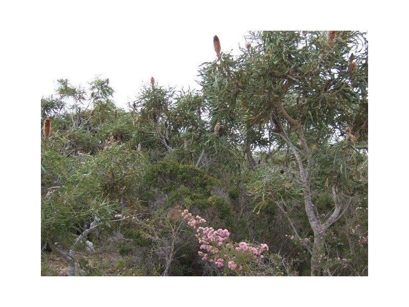 20 Wren Way, Jurien Bay WA 6516