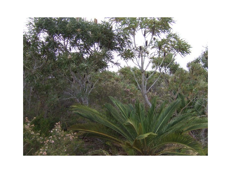 20 Wren Way, Jurien Bay WA 6516