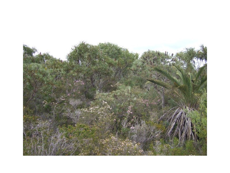 20 Wren Way, Jurien Bay WA 6516