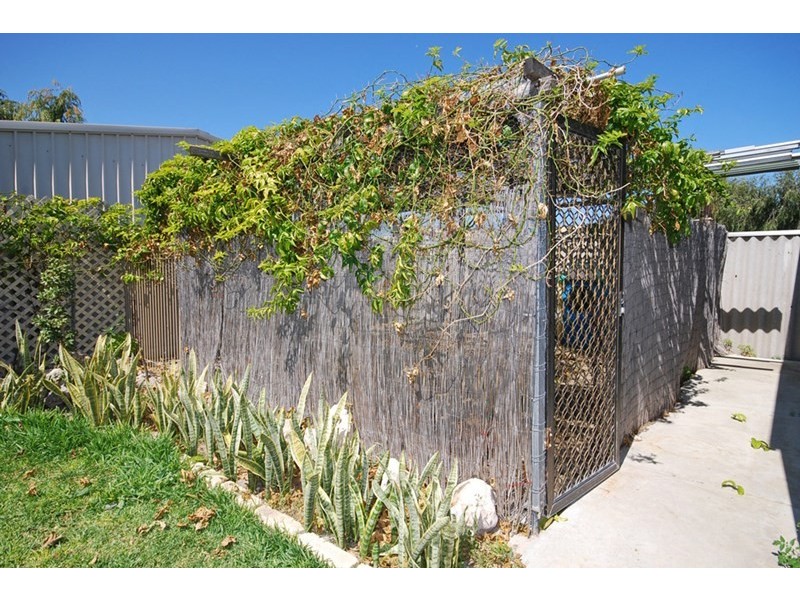 4 Shearwater Drive, Jurien Bay WA 6516