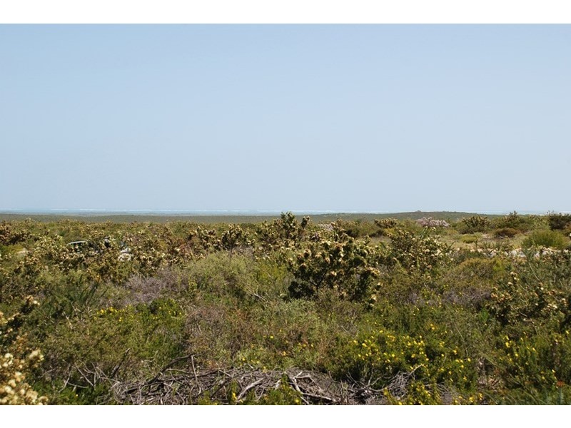 LOT 215 Ridge Way, Jurien Bay WA 6516