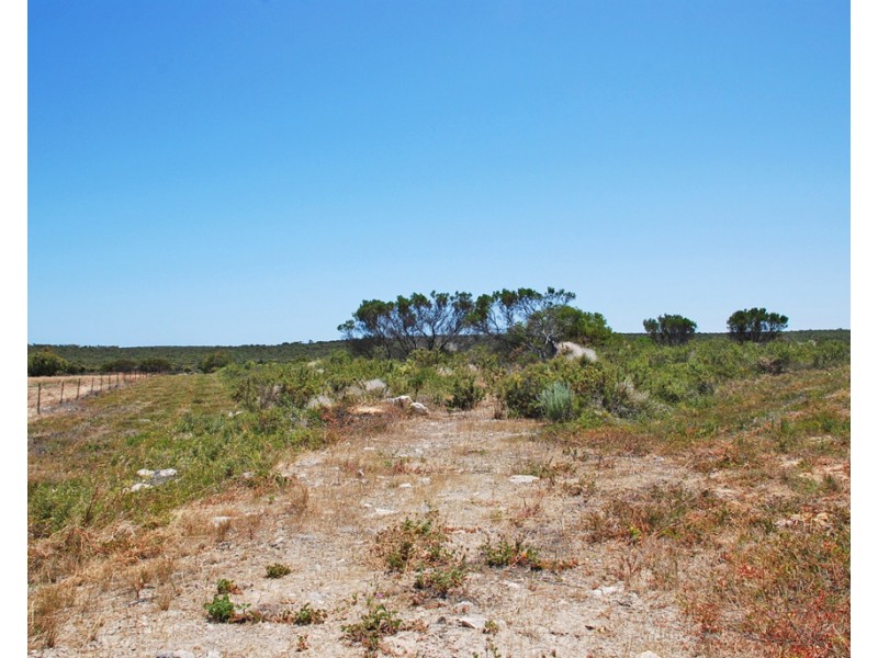 Lot 6, 40 Geronimo Crescent, Jurien Bay WA 6516