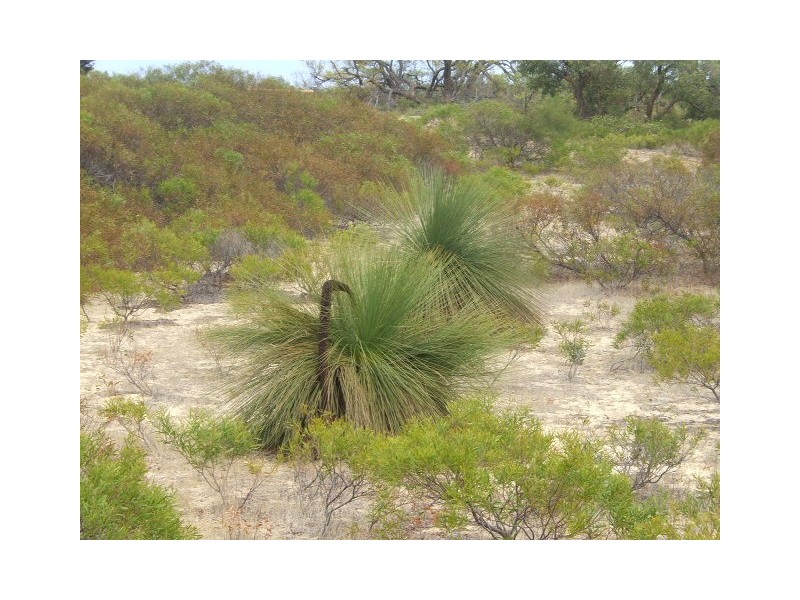 Lot 42 River Loop, Jurien Bay WA 6516