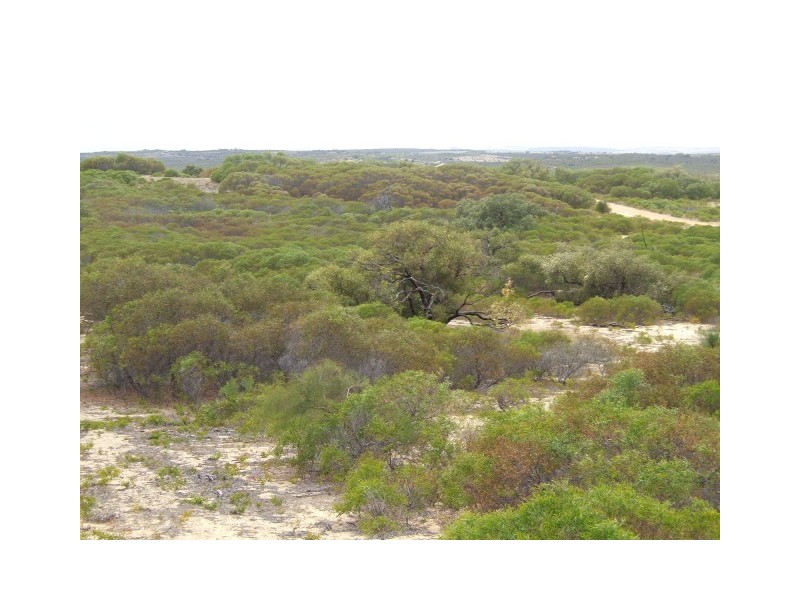 Lot 42 River Loop, Jurien Bay WA 6516