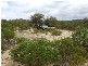 Lot 42 River Loop, Jurien Bay WA 6516