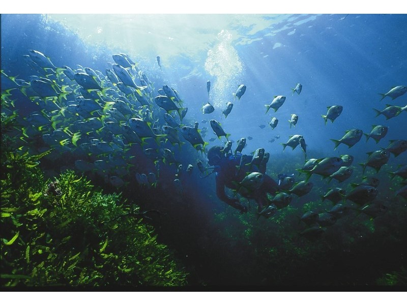 Lot 58 Oceanic Way (Commercial), Jurien Bay WA 6516