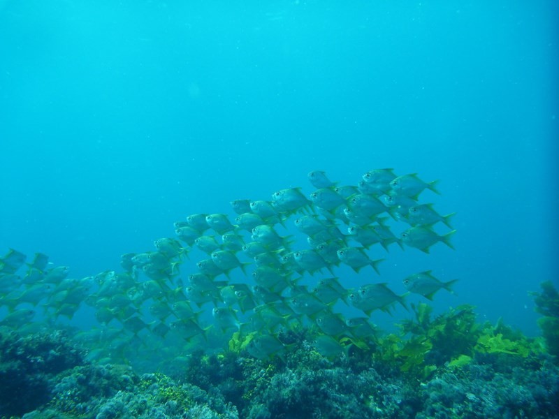 Lot 58 Oceanic Way (Commercial), Jurien Bay WA 6516