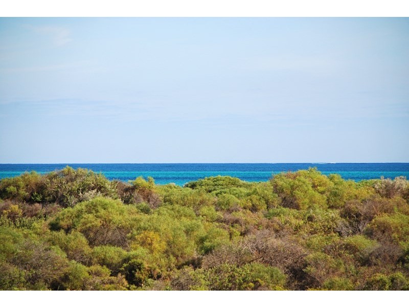 Lot 331, 15 Eucalypt Way, Jurien Bay WA 6516