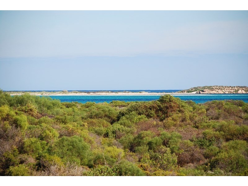 Lot 331, 15 Eucalypt Way, Jurien Bay WA 6516