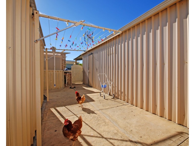 12 Shearwater Drive, Jurien Bay WA 6516