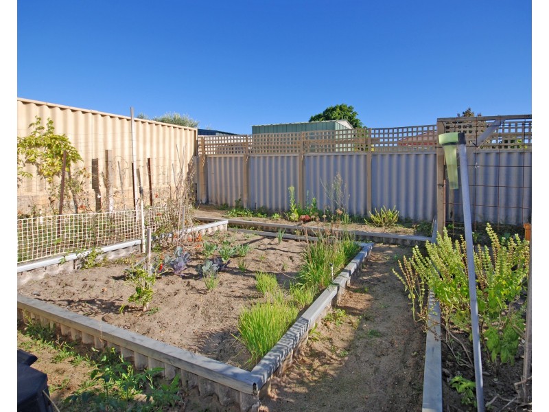 12 Shearwater Drive, Jurien Bay WA 6516