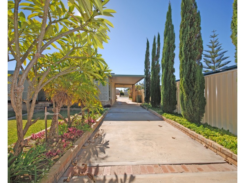 12 Shearwater Drive, Jurien Bay WA 6516