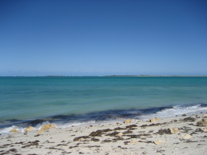 1 Grevillea, Jurien Bay WA 6516