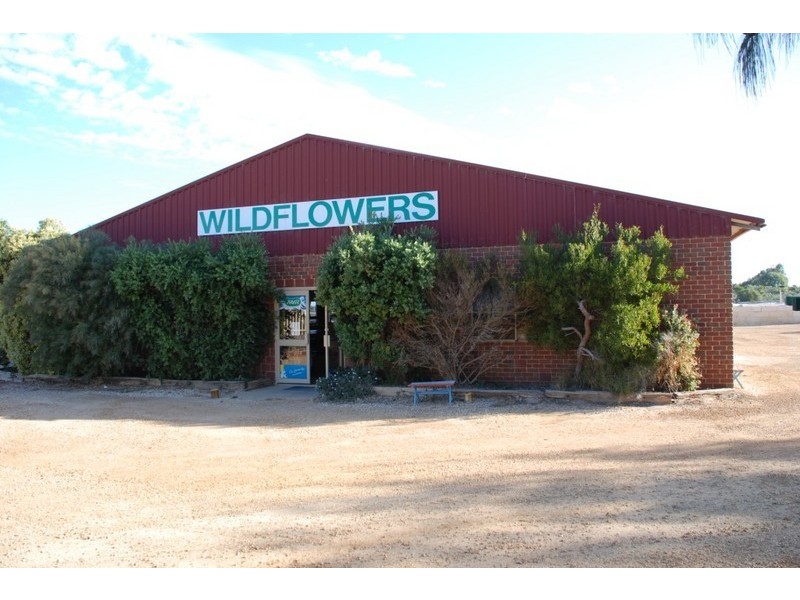 Lot 801, 1 Bradley Loop, Cervantes WA 6511