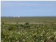 Lot 211 Ridge Way, Jurien Bay WA 6516