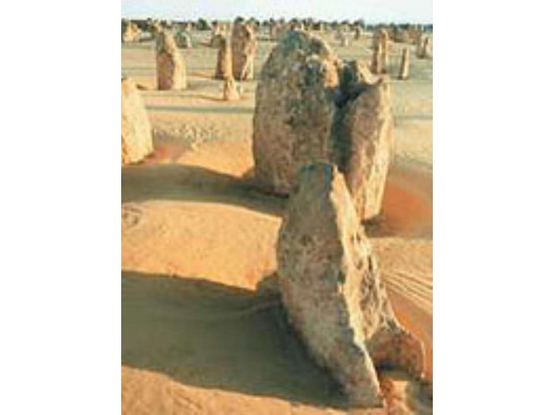 Lot 713 Picasso Place, Cervantes WA 6511