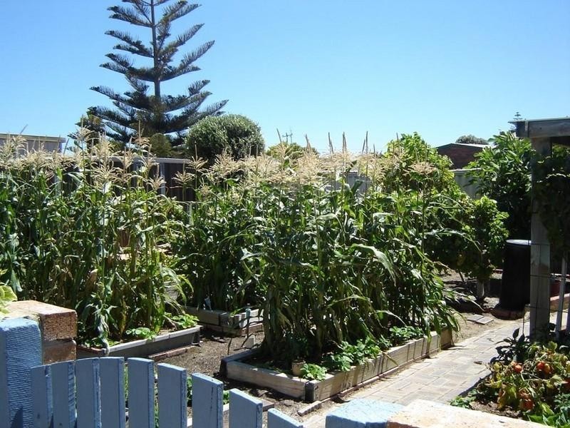 5 Ward Street, Jurien Bay WA 6516