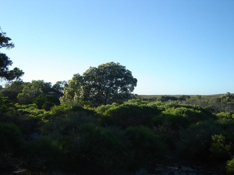 38 River Loop, Jurien Bay WA 6516