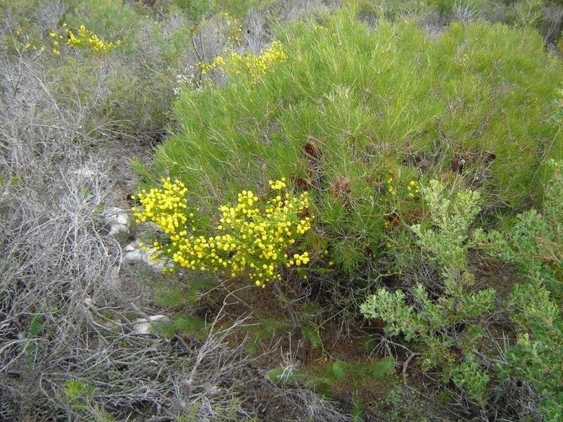 280 Sulina Crescent, Jurien Bay WA 6516