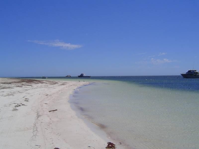 55 Seville Street, Cervantes WA 6511