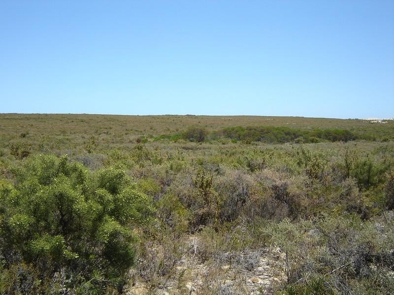 Lot 407 Ridge Way, Jurien Bay WA 6516