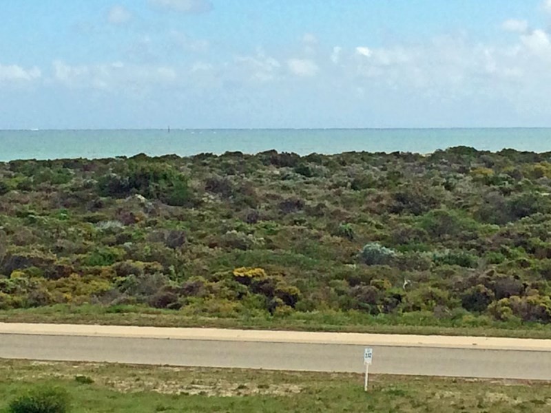 Lot 332, 17 Eucalypt Way, Jurien Bay WA 6516