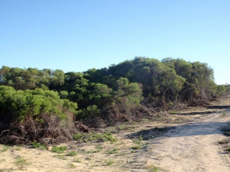 Lot 65 River Loop, Jurien Bay WA 6516