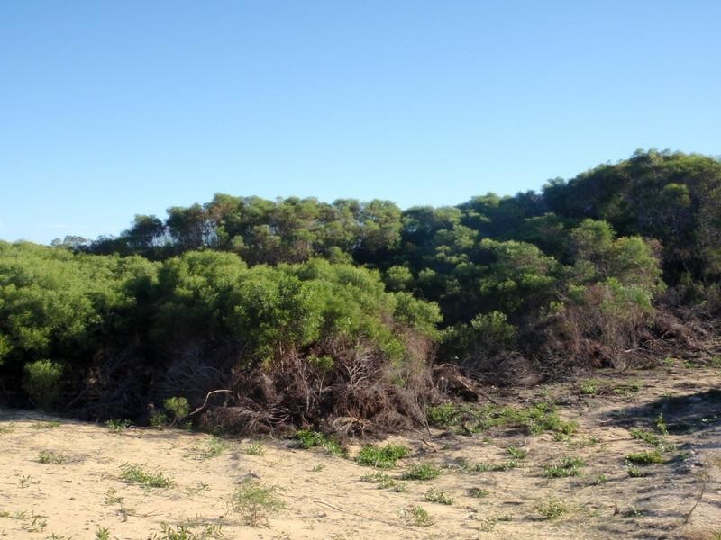 Lot 65 River Loop, Jurien Bay WA 6516