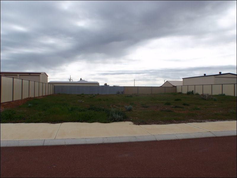Lot 569, 8 Dryandra Boulevard, Jurien Bay WA 6516