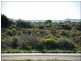 Lot 333, 19 Eucalypt Way, Jurien Bay WA 6516