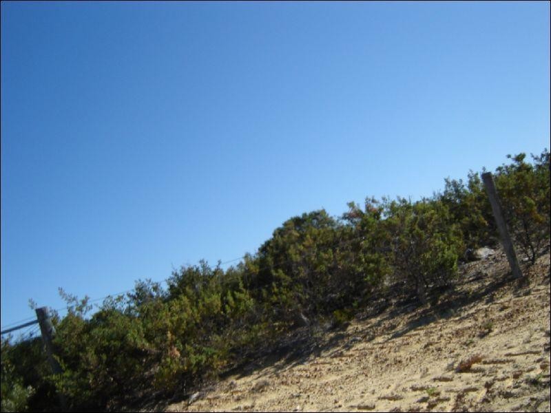 Lot 6, 40 Geronimo Crescent, Jurien Bay WA 6516