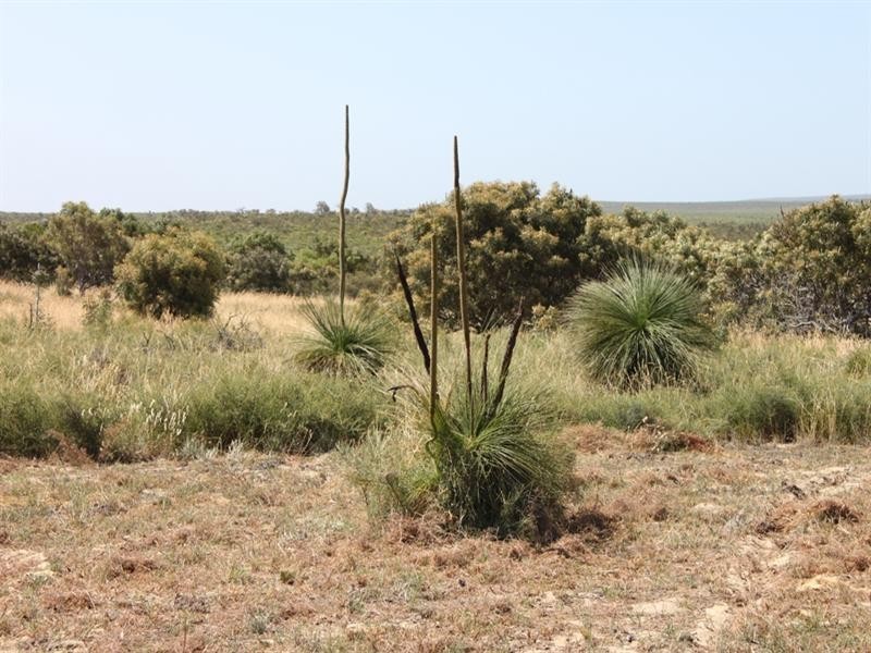 Lot 70 Flying Foam Way, Jurien Bay WA 6516