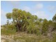 Lot 35 River Loop, Jurien Bay WA 6516
