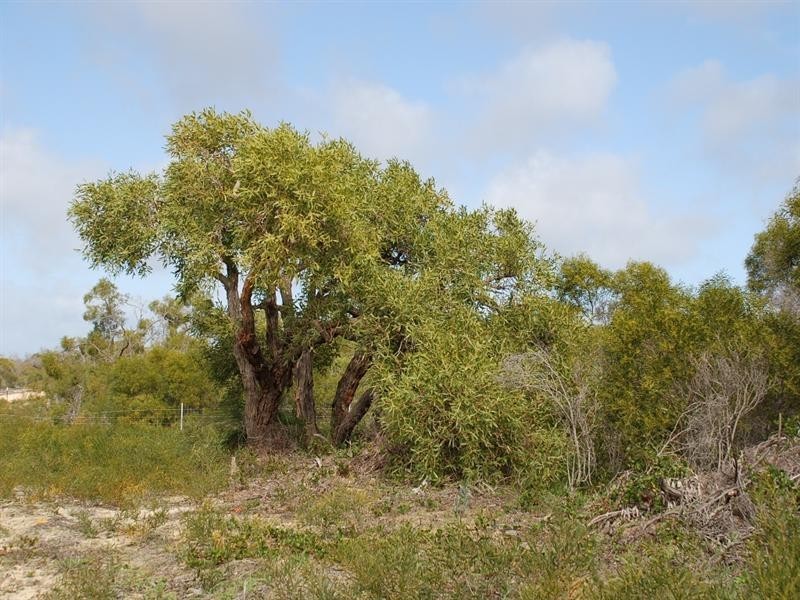Lot 35 River Loop, Jurien Bay WA 6516