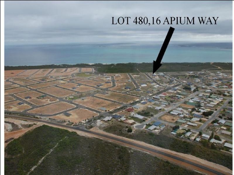 Lot 480, 16 Apium Way, Jurien Bay WA 6516