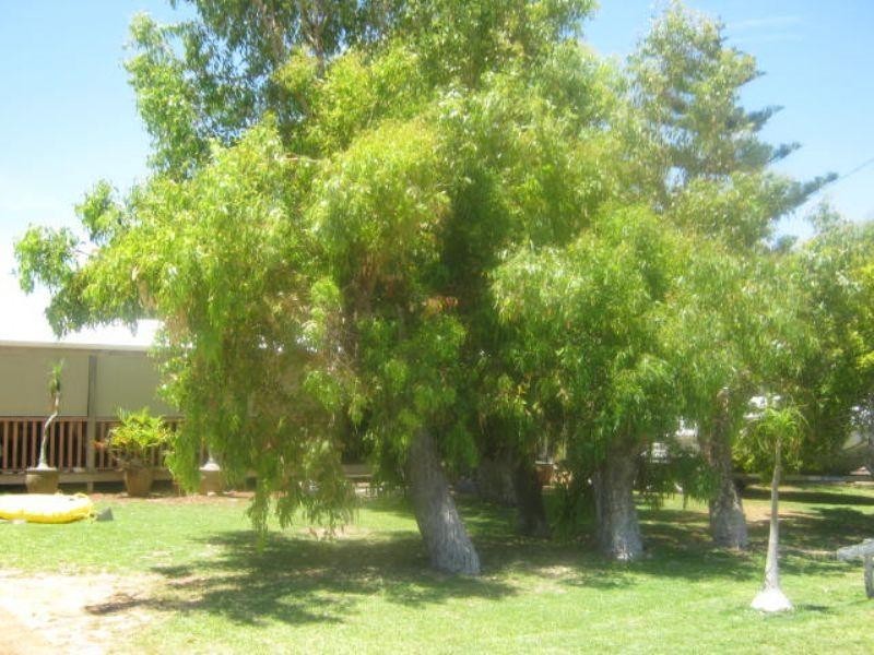 Lot 68, 4 Evro Street, Cervantes WA 6511