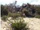 Lot 105 Jurien Bay Vista, Jurien Bay WA 6516