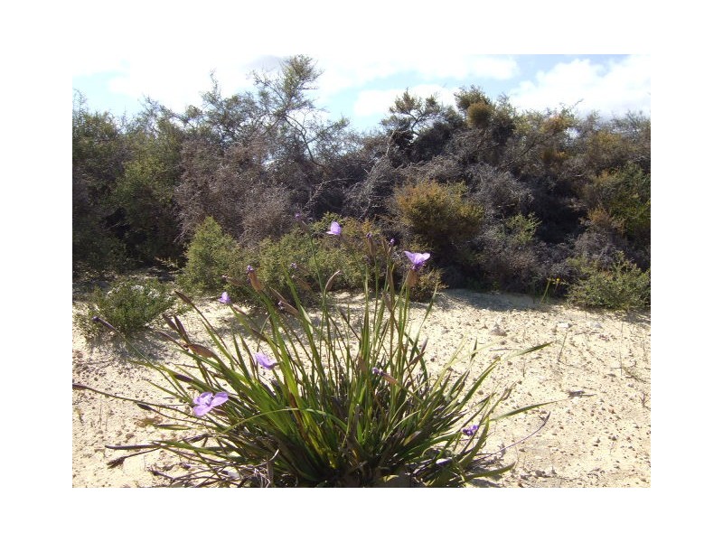 Lot 105 Jurien Bay Vista, Jurien Bay WA 6516