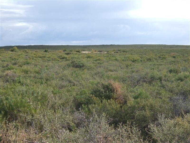 Lot 105 Jurien Bay Vista, Jurien Bay WA 6516