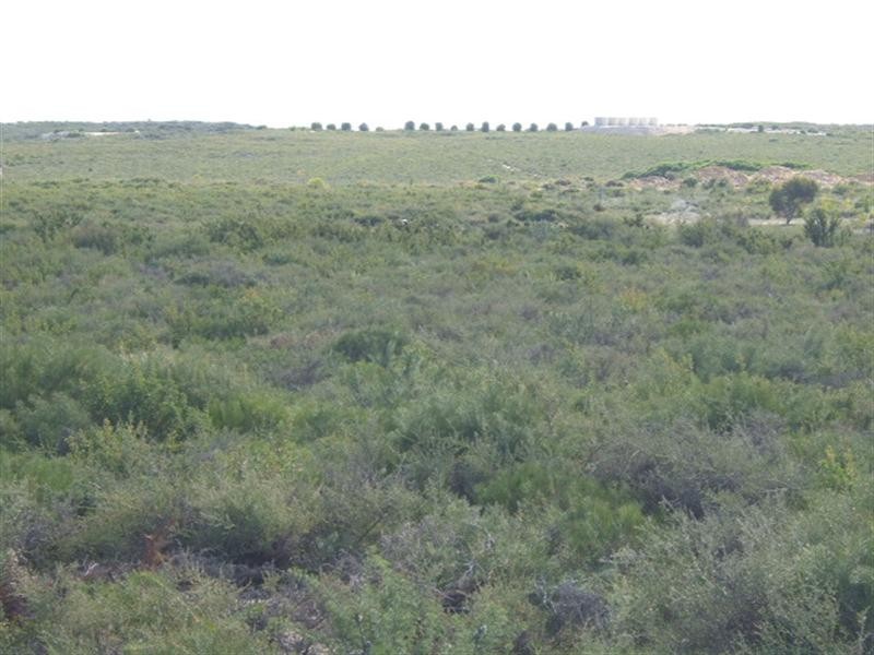 Lot 105 Jurien Bay Vista, Jurien Bay WA 6516