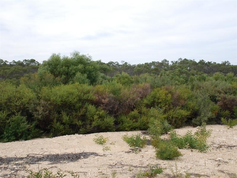 Lot 77 Ridge Way, Jurien Bay WA 6516