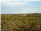 Lot 315 Emma Court, Jurien Bay WA 6516