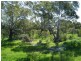 Lot 104 Homestead Loop, Jurien Bay WA 6516